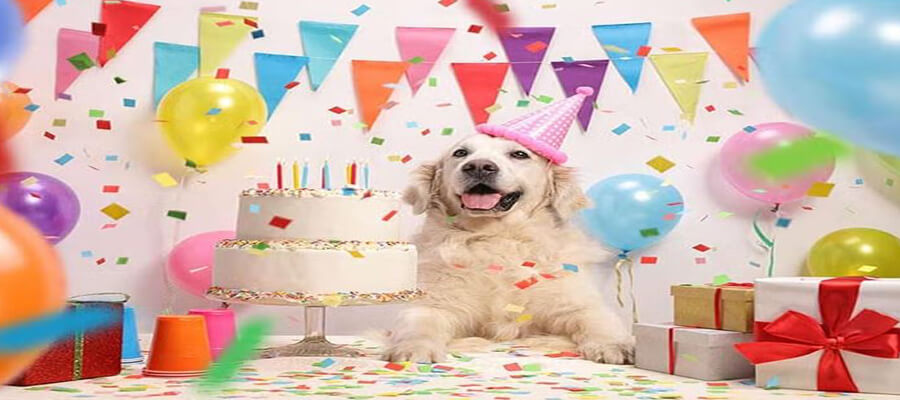 5 Fun Ways to Celebrate Your Dog’s Birthday